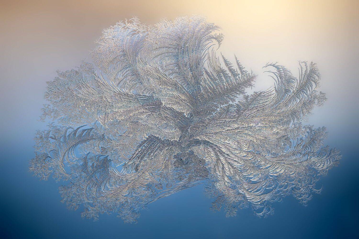 , Кузнецов Дмитрий