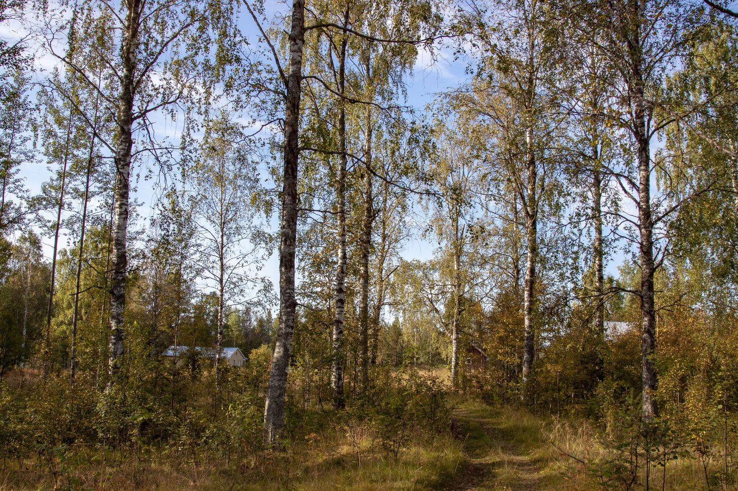 Швеция,  Lapland