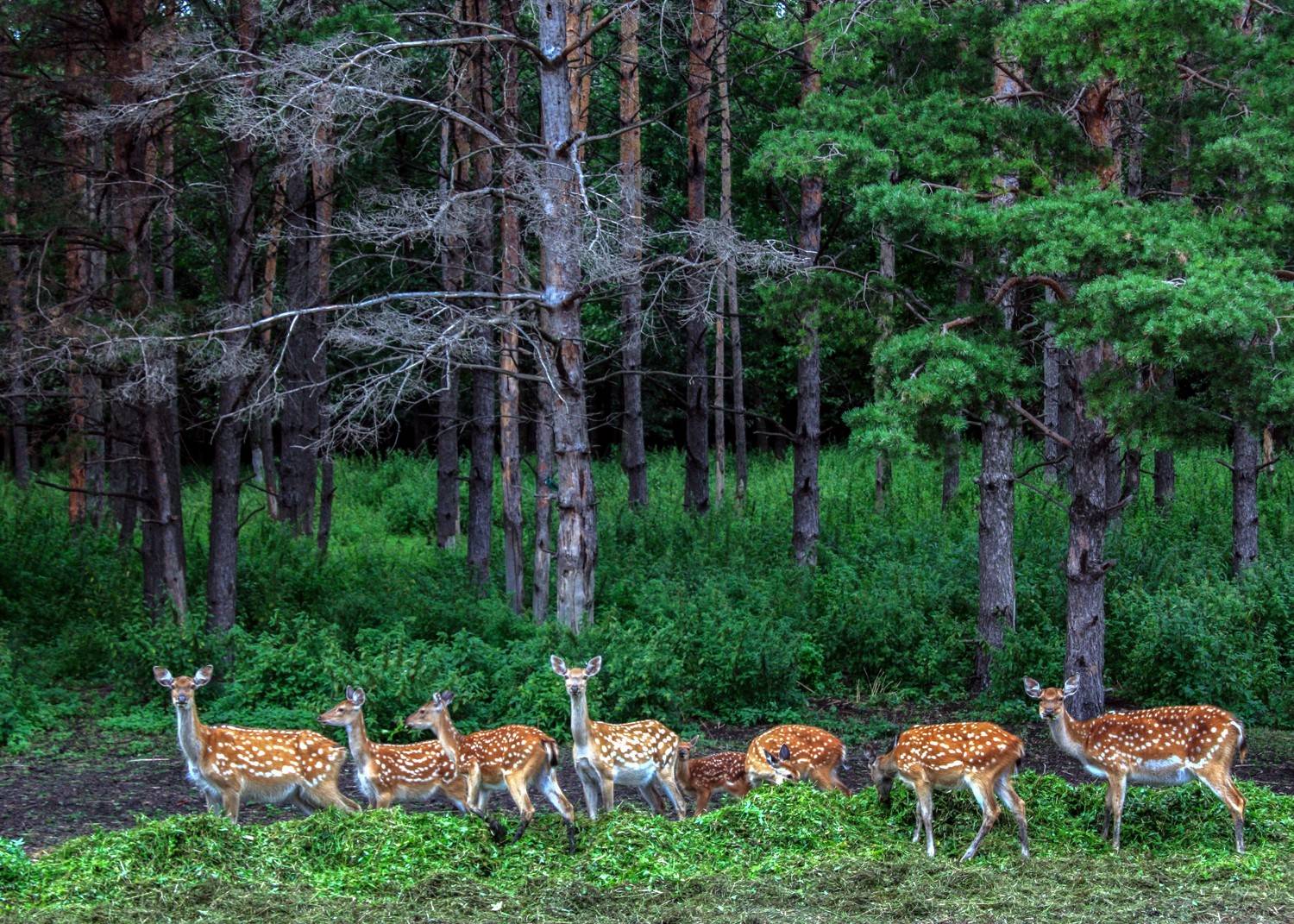 , Назаров Александр