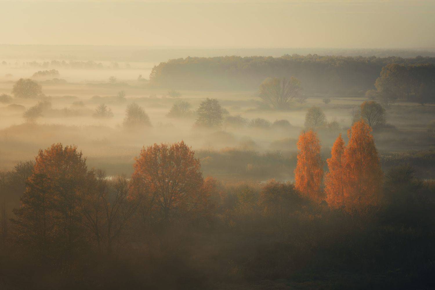 , Барабанов Алексей