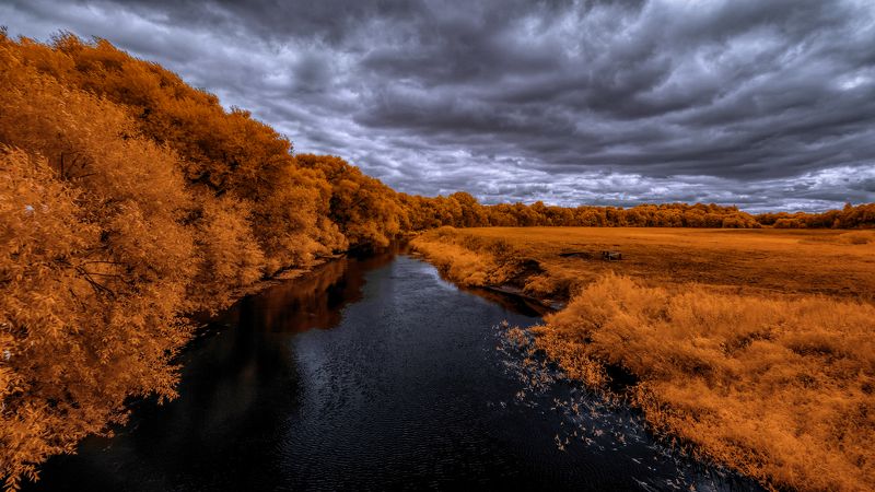 В пасмурном полдне. фото превью