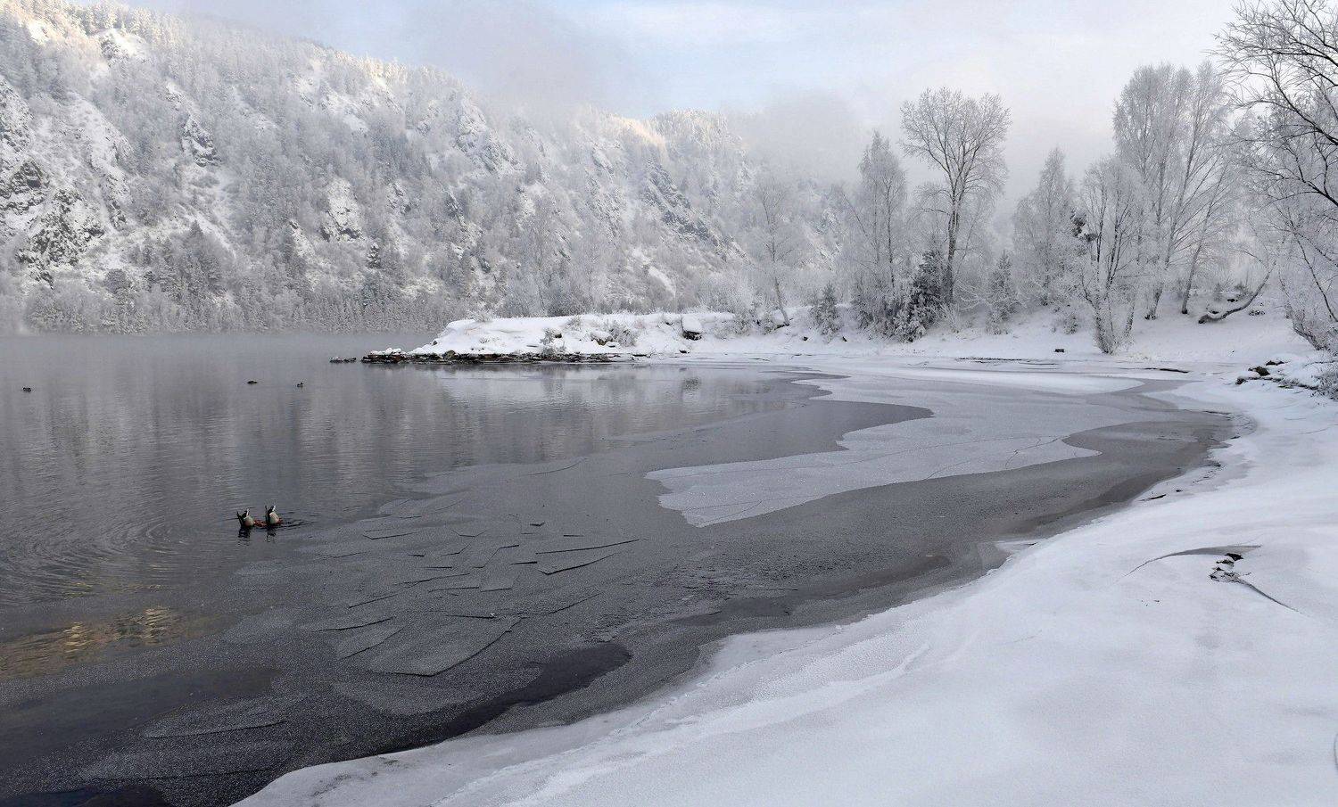берега,  сибирь, лед, иней, утки, Марина Фомина