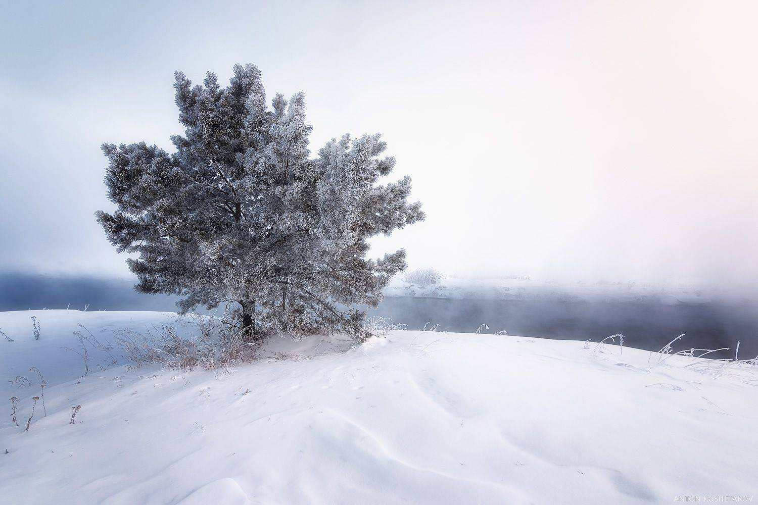 , Антон Кошетаров