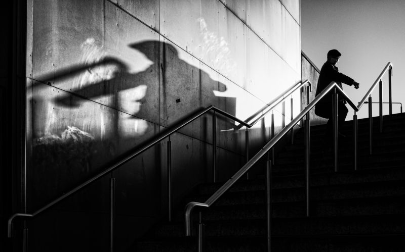 The shadow game фото превью