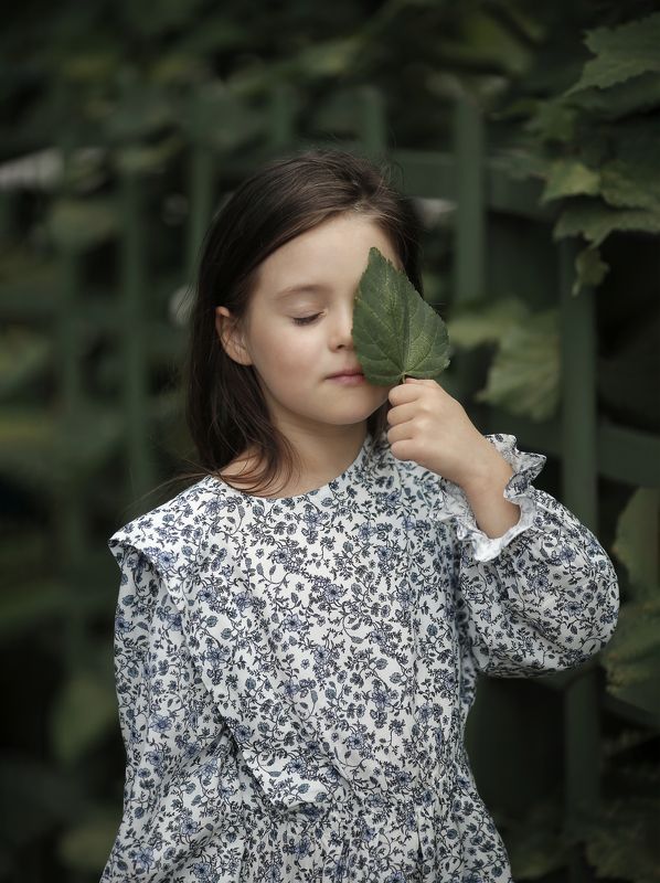 фото превью