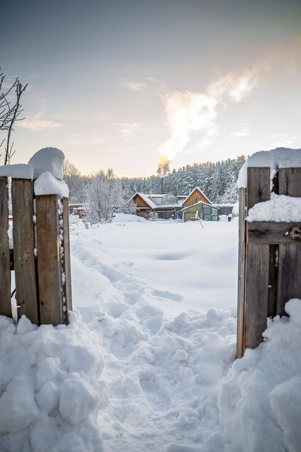 , Алексей Шуплецов