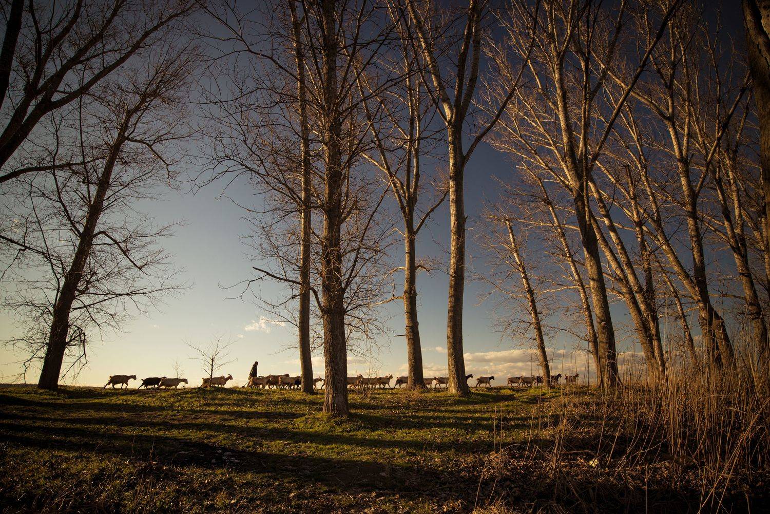 nikon d610,nikkor 18-35 , Tihomir Petkov