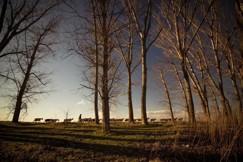 nikon d610,nikkor 18-35   фото превью