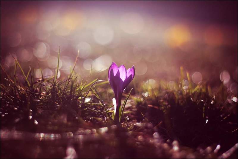 ... фото превью