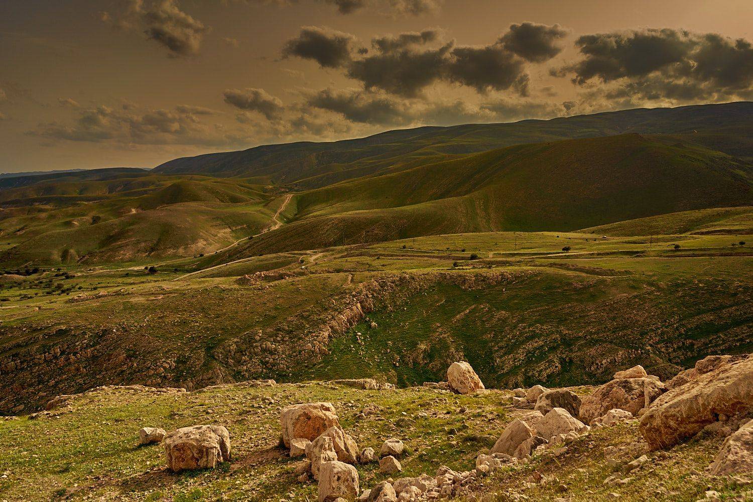 , David Solodar
