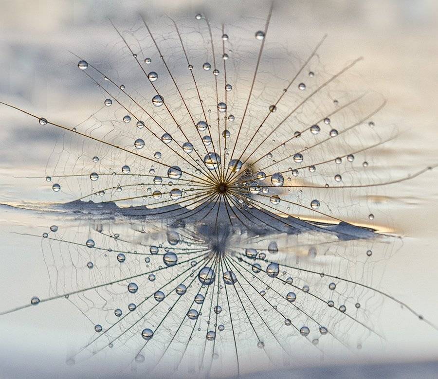 , Таня  Маркова