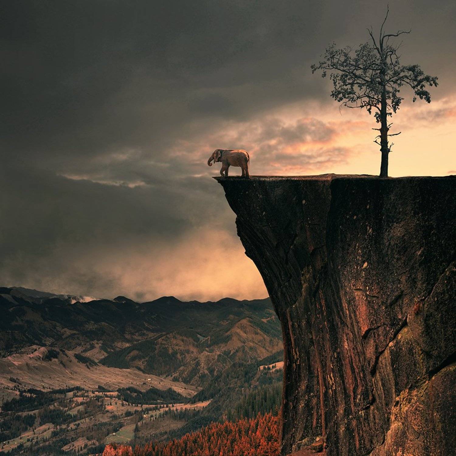 bird, bridge, calm, castle, cold, crow, dark, fairy, fly, fog, fruit, girl, gravity, island, lens, long exposure, manipulation, mist, motion, night, ocean, photoshop, psd, reflection, rocks, sky, storm, tower, tree, tutorials, water, wood, boy, flower, fo, Caras Ionut
