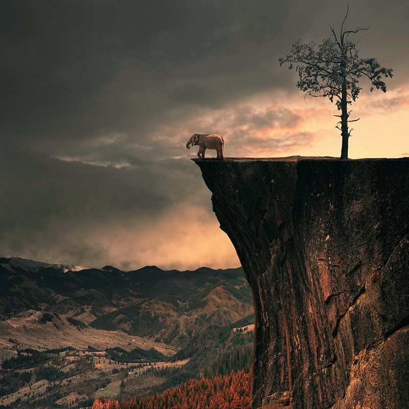 bird, bridge, calm, castle, cold, crow, dark, fairy, fly, fog, fruit, girl, gravity, island, lens, long exposure, manipulation, mist, motion, night, ocean, photoshop, psd, reflection, rocks, sky, storm, tower, tree, tutorials, water, wood, boy, flower, fo View for relax фото превью