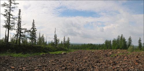 На Таймыре
