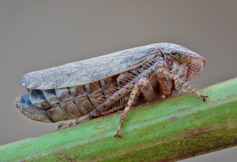 !!! фото превью