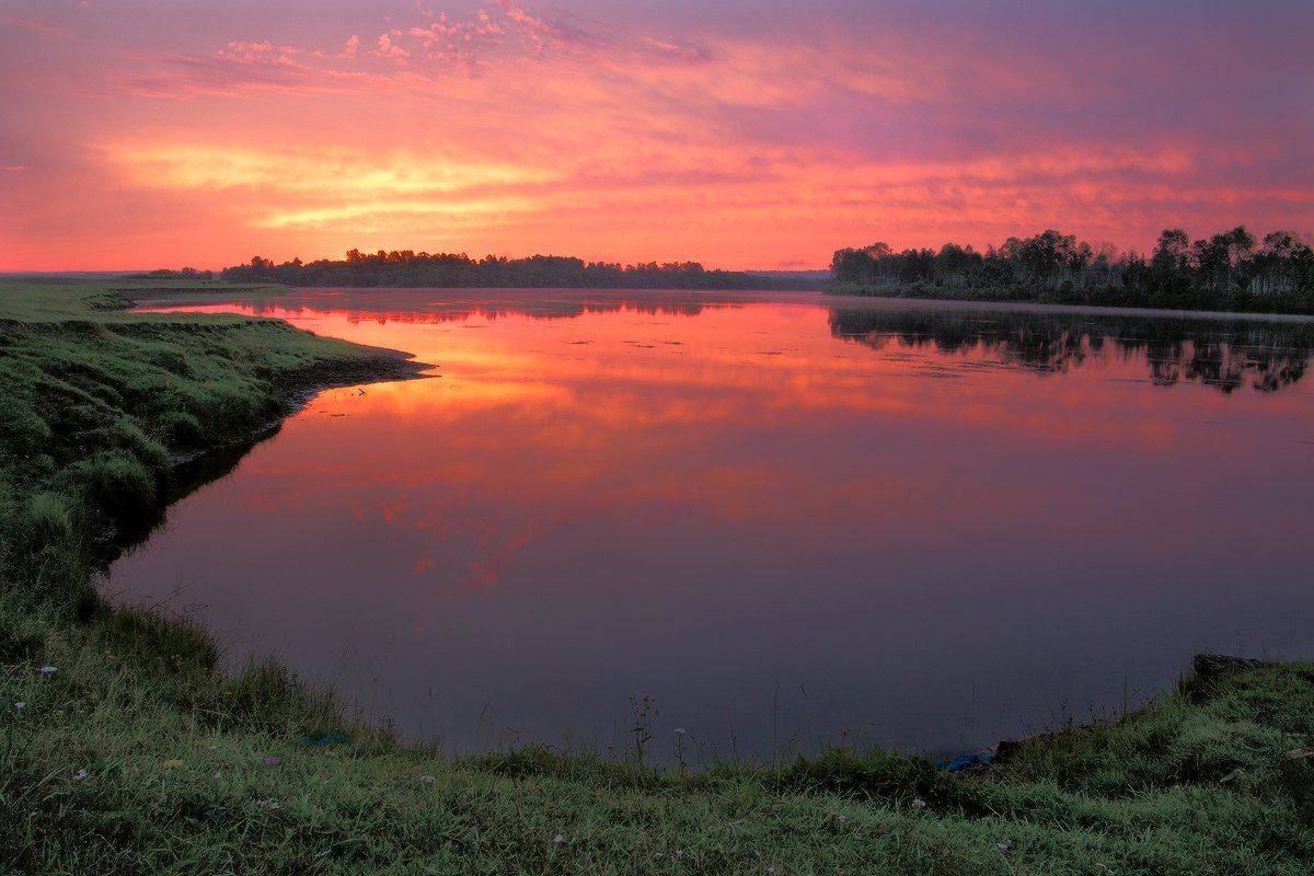 , Николай Морский