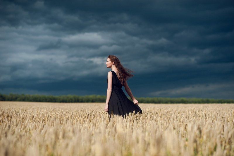 Fields of gold фото превью