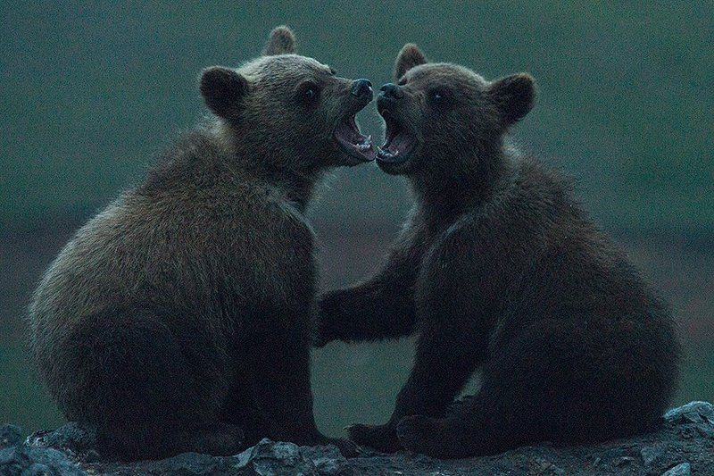 Ночная жизнь Чукотки...