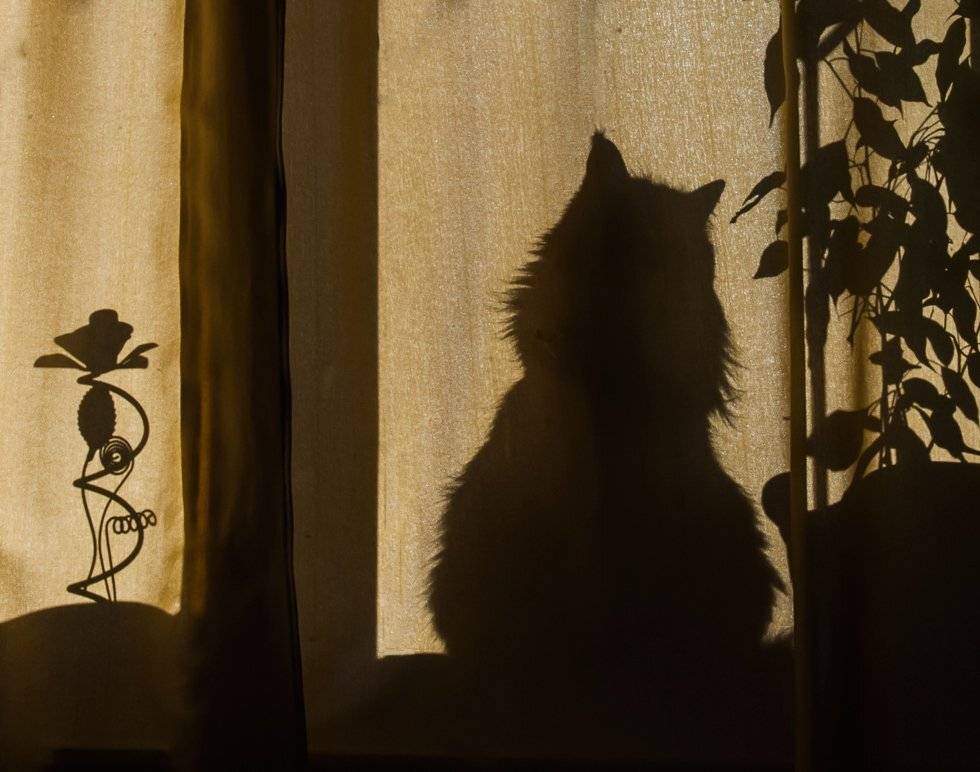 , Людмила Прокофьева