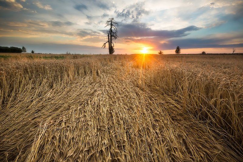 *** фото превью