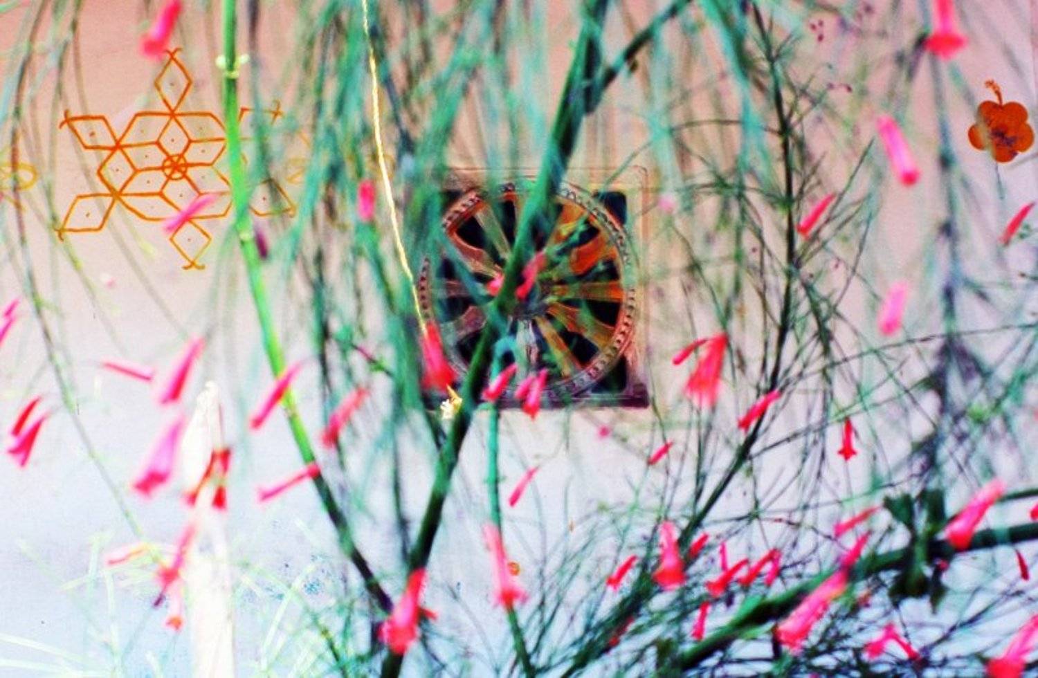 Circle,, Color,, Flowers,, India,, Metaphysics,, Индия,, Метафизика,, Окружности,, Цвет,, nelenin