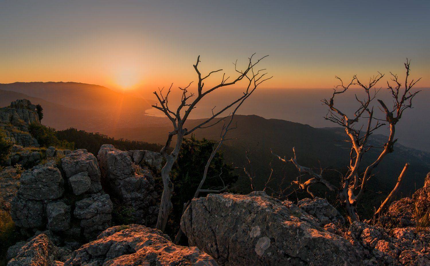 , Игорь Мелекесцев