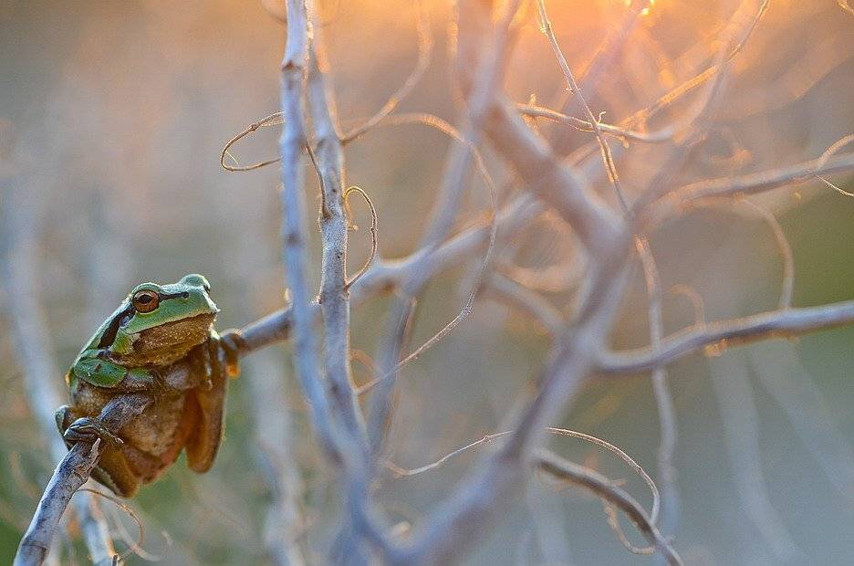 , Вячеслав Мищенко