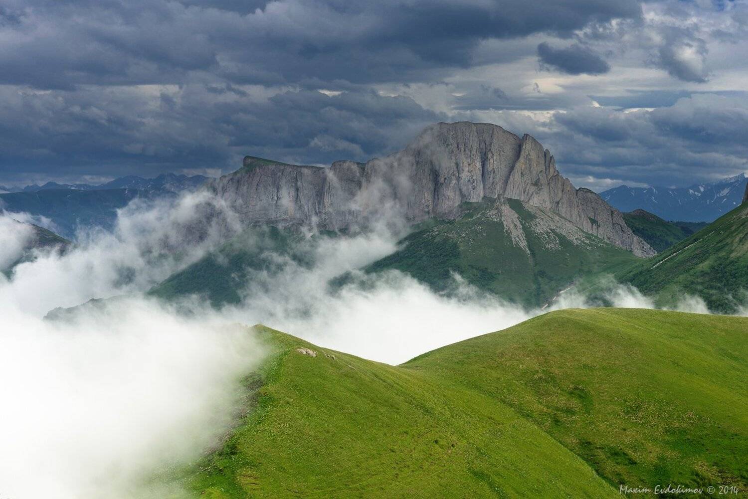 , Максим Евдокимов