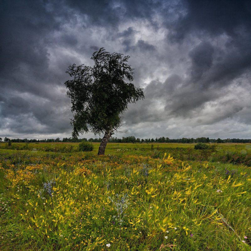 *** фото превью