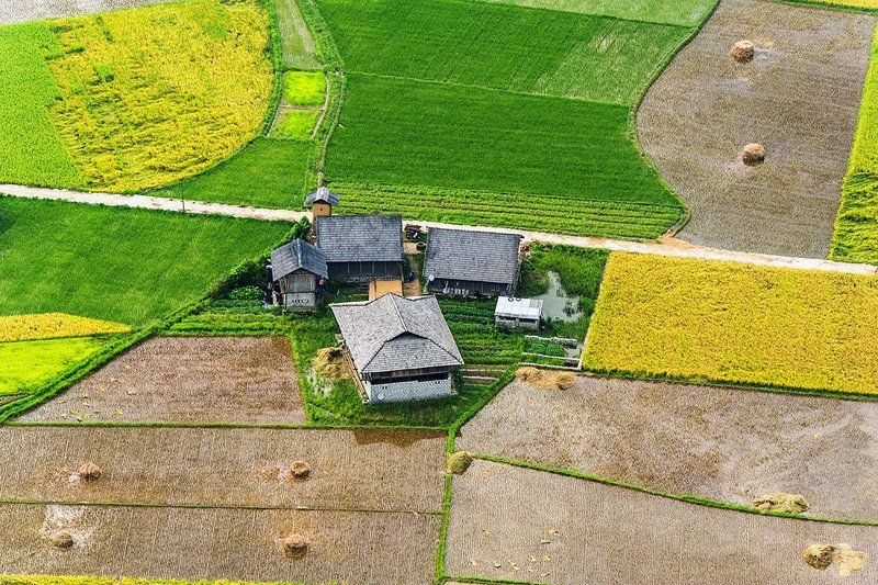 Sác màu cuộc sống ! фото превью