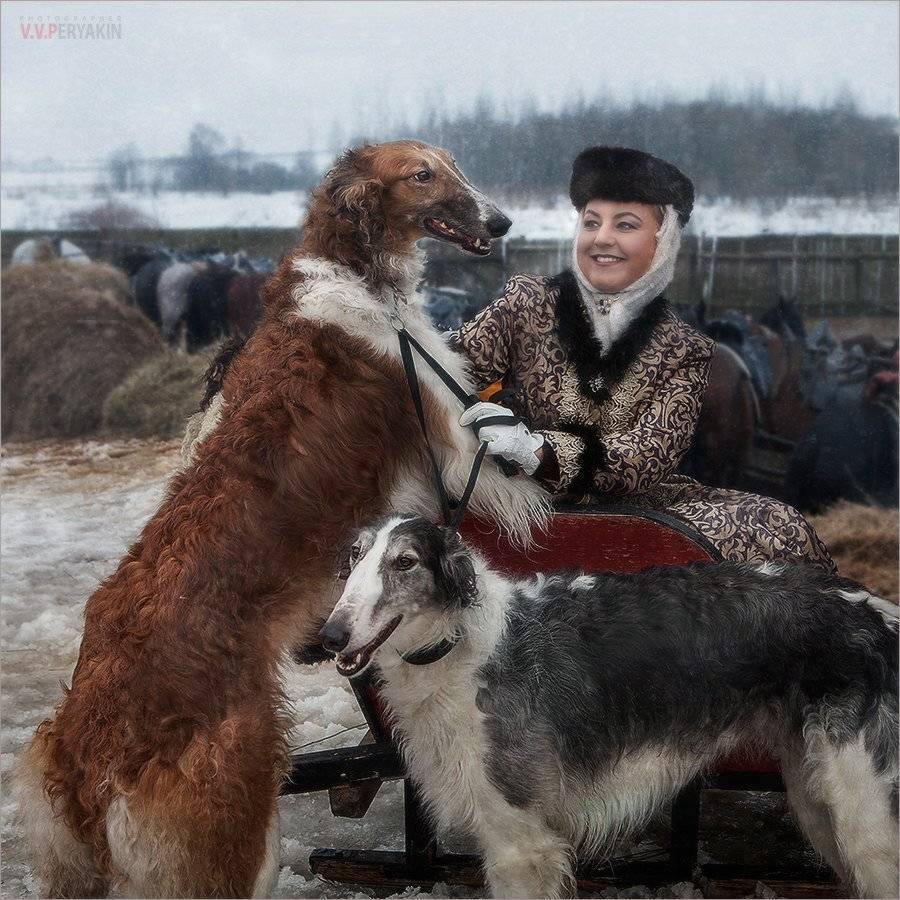 , Виктор Перякин