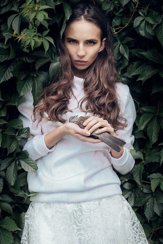 фото превью