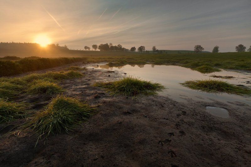 Fields, Fog, Masuria, Poland, Sokol, Sun, Sunrise, Swamp, Warmia May morning фото превью