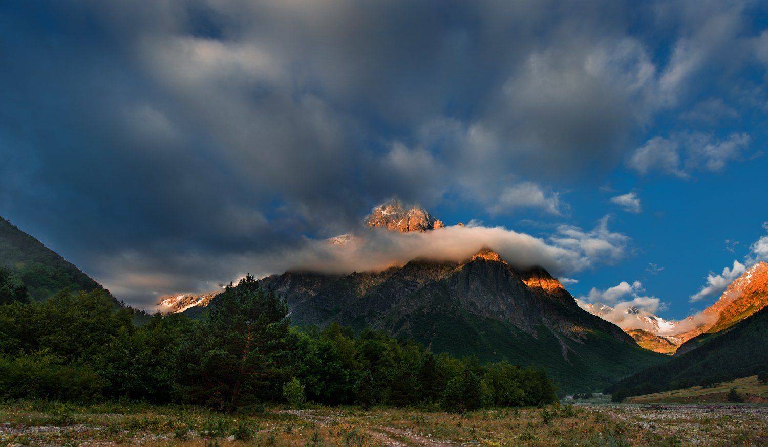 , Елена Брежицкая