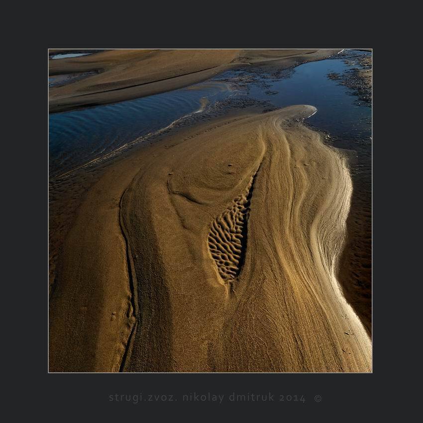 , николай дмитрук