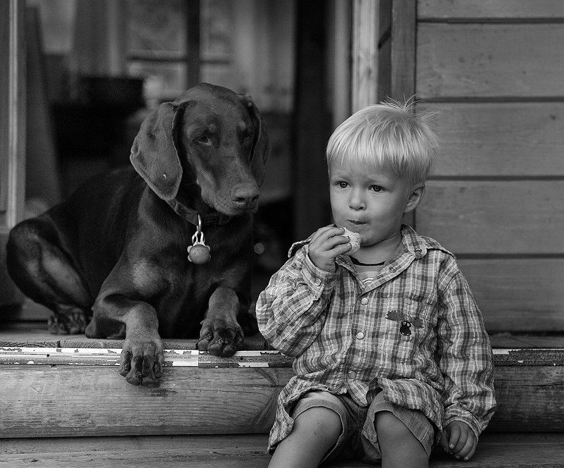 друг ли ты мне...? фото превью