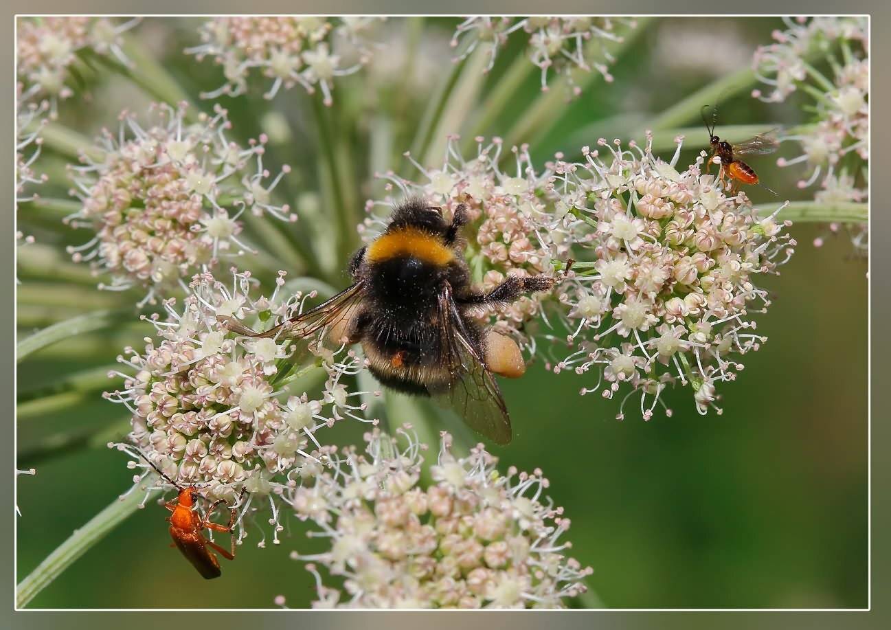 , Игорь Ломакин