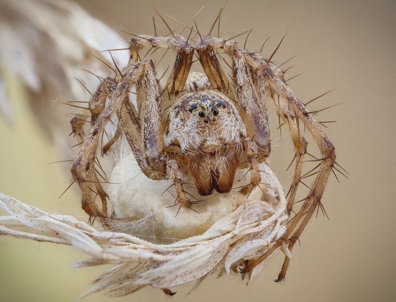 -*/-/* фото превью
