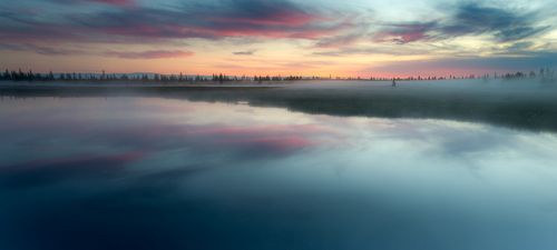 Про ежика...