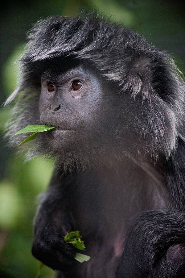 , Алексей Родак