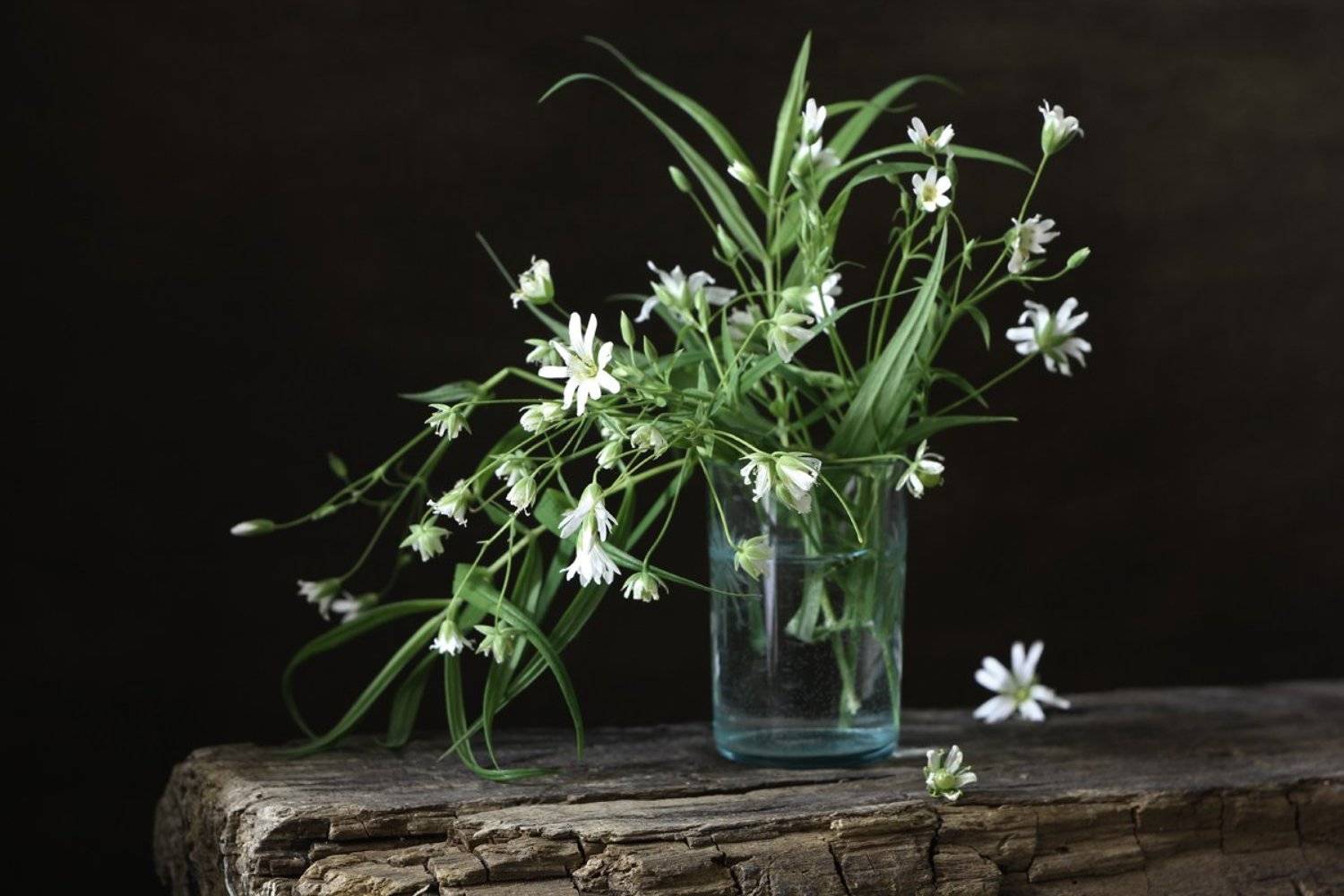 , Киливник Наталия(Metron)