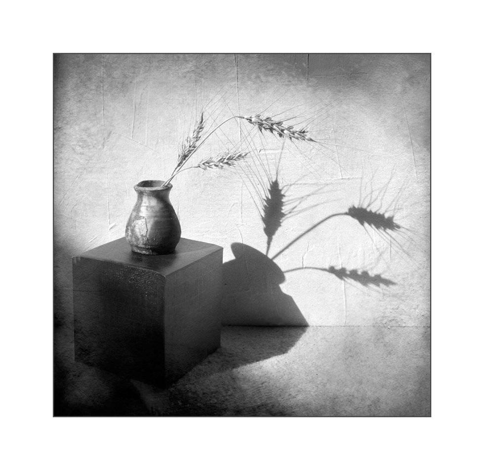 , Людмила Прокофьева