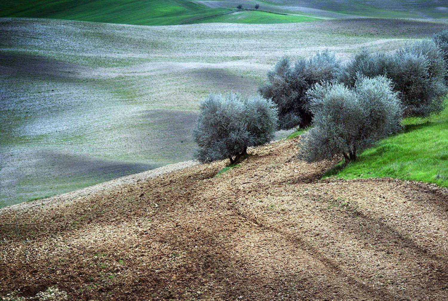 , Danny Vangenechten