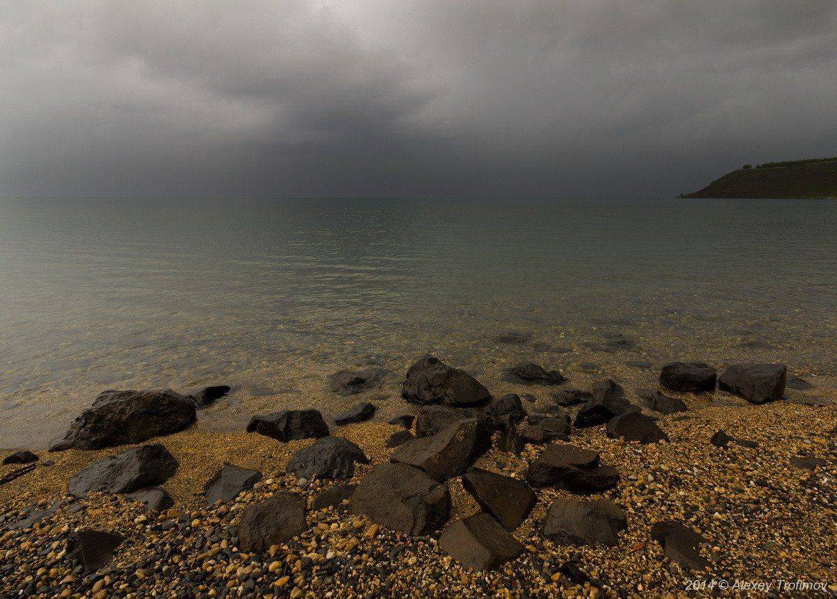 , Алексей Трофимов