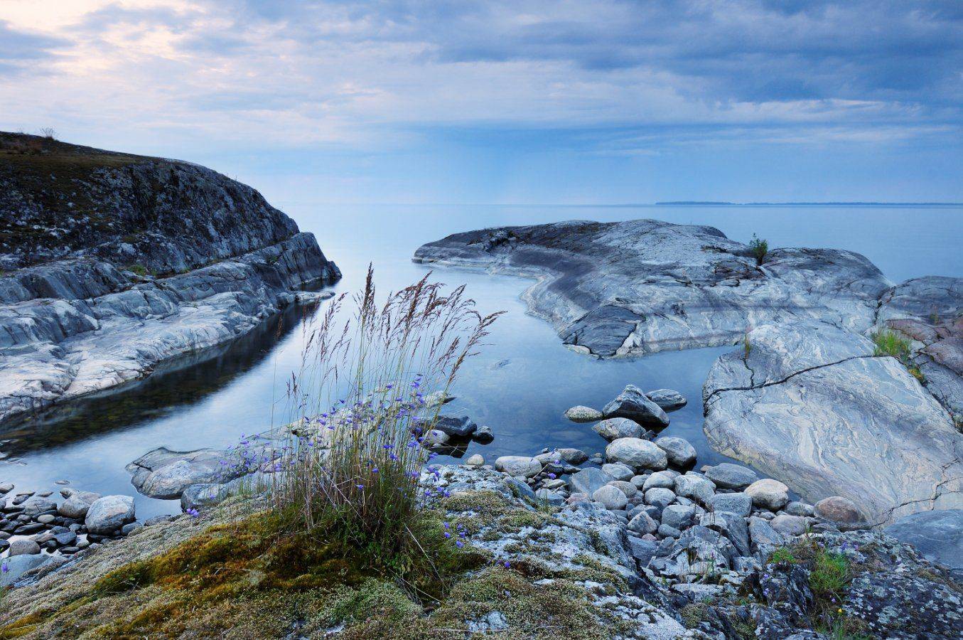 , Минин Дмитрий