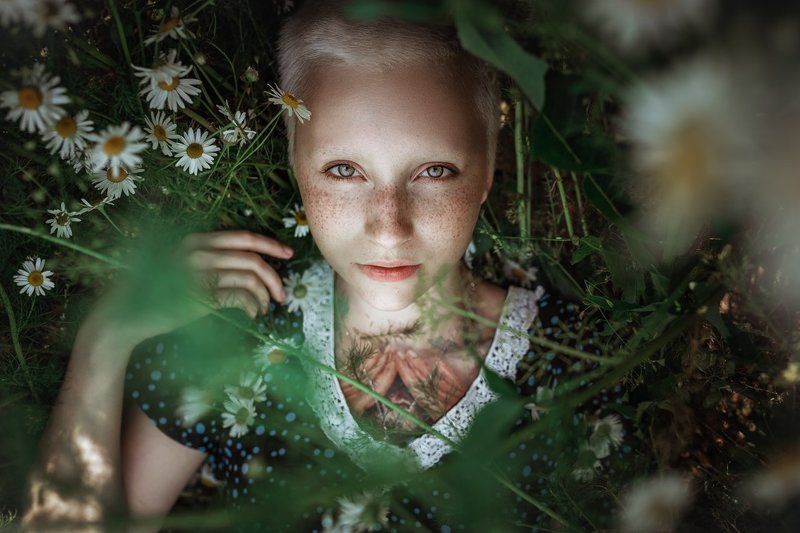 фото превью