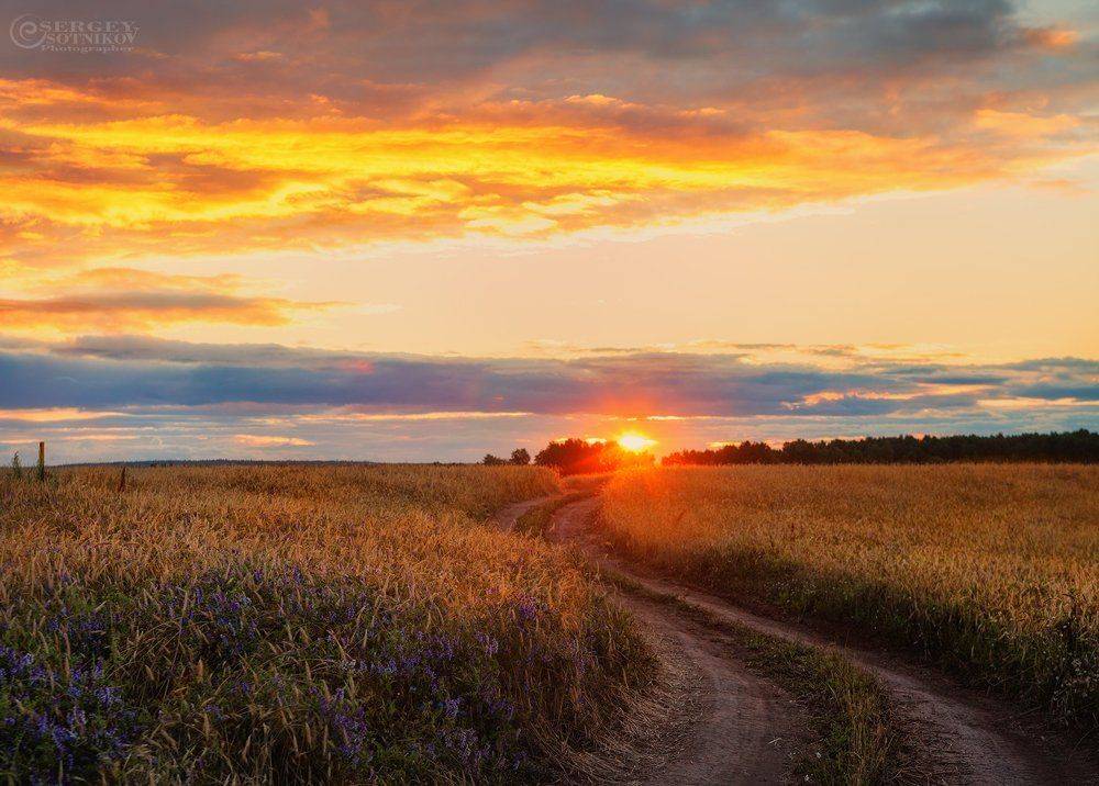 , Сергей Сотников