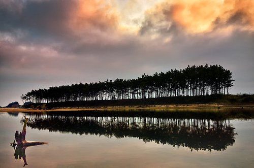 Reflect