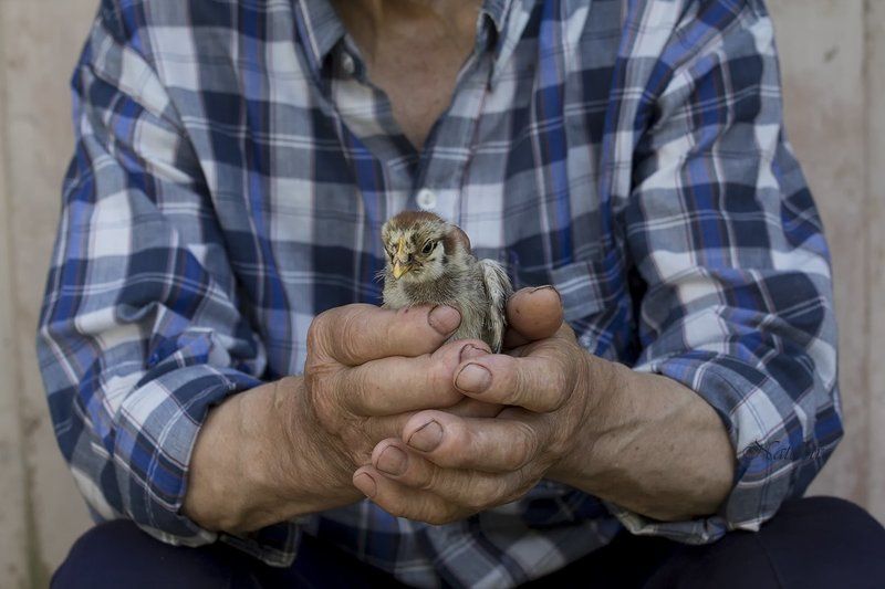 Всё в наших руках... фото превью