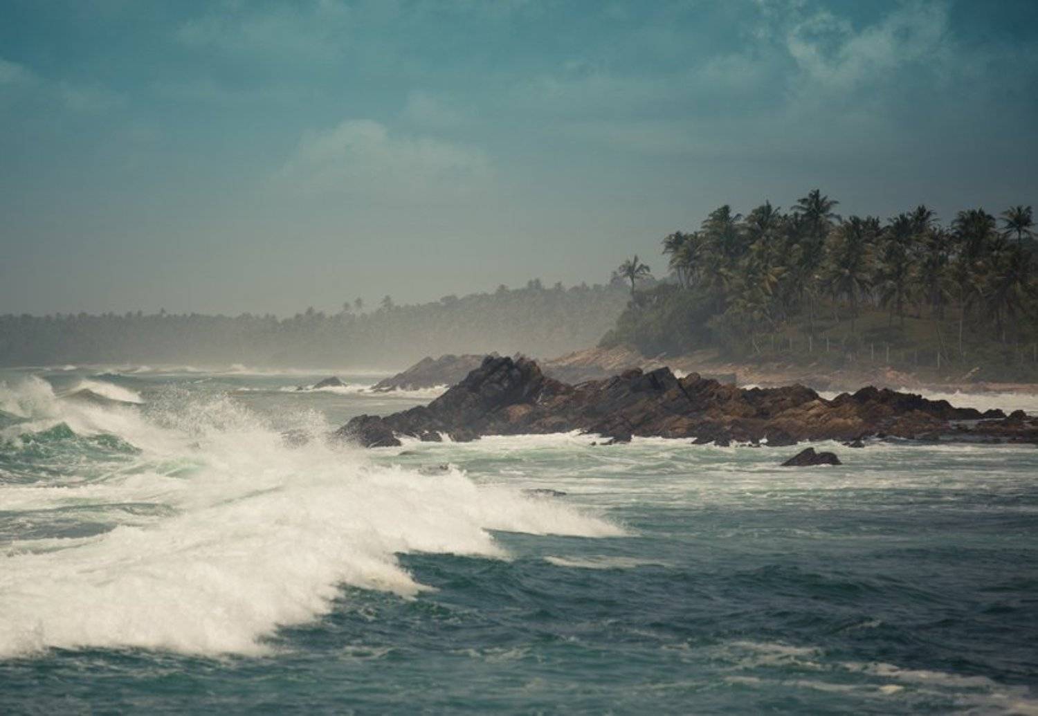 , Алексей Душка